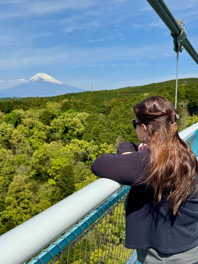 Part 11 Japan 🇯🇵 Mishima / Fuji Part 2