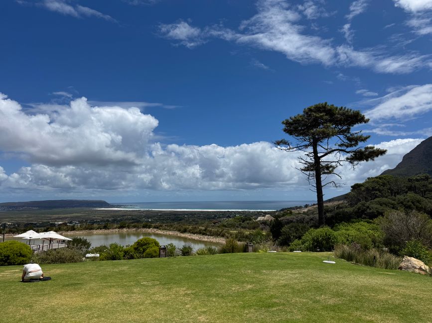 Afrique du Sud🇿🇦 Semaine 1