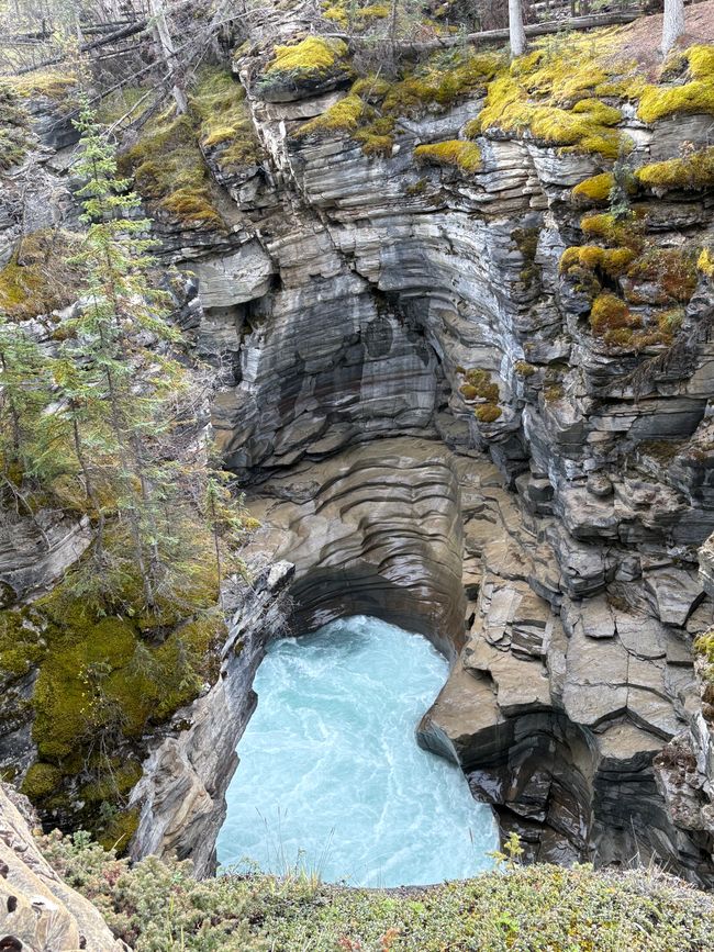 Tag 12 - 🏔️ Wasserfälle, Wetterkapriolen & Wellness – ein (fast) perfekter Tag in Jasper