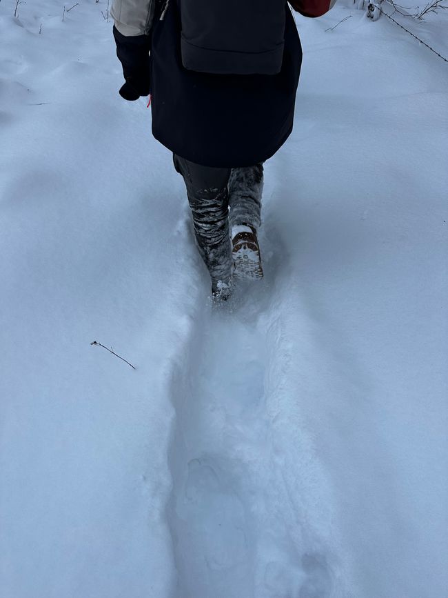 Schnee, Spaß und alkoholfreies Bier