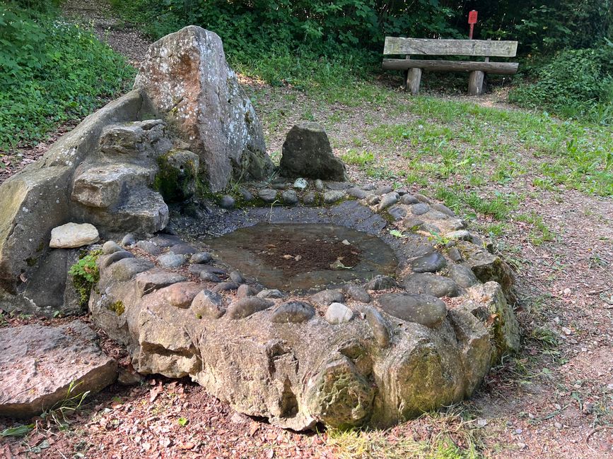 Eidechsen-Brünnlein