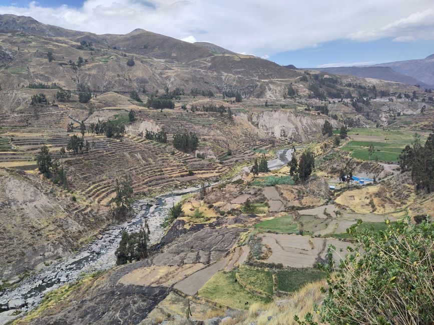 Arequipa: Beautiful Colca Canyon and the best almond peak in the world