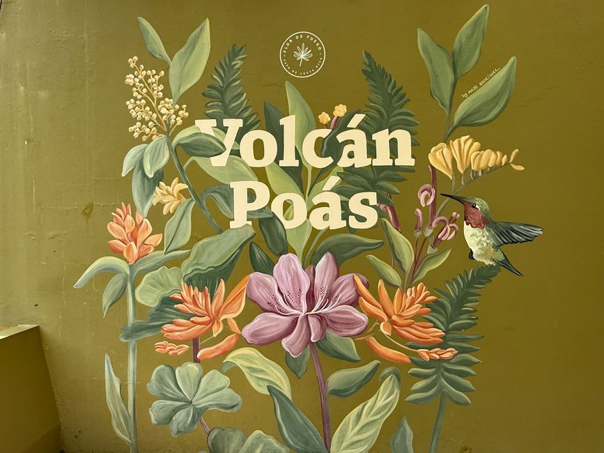 BLOG 17: Volcán Poás y Hacienda Doka