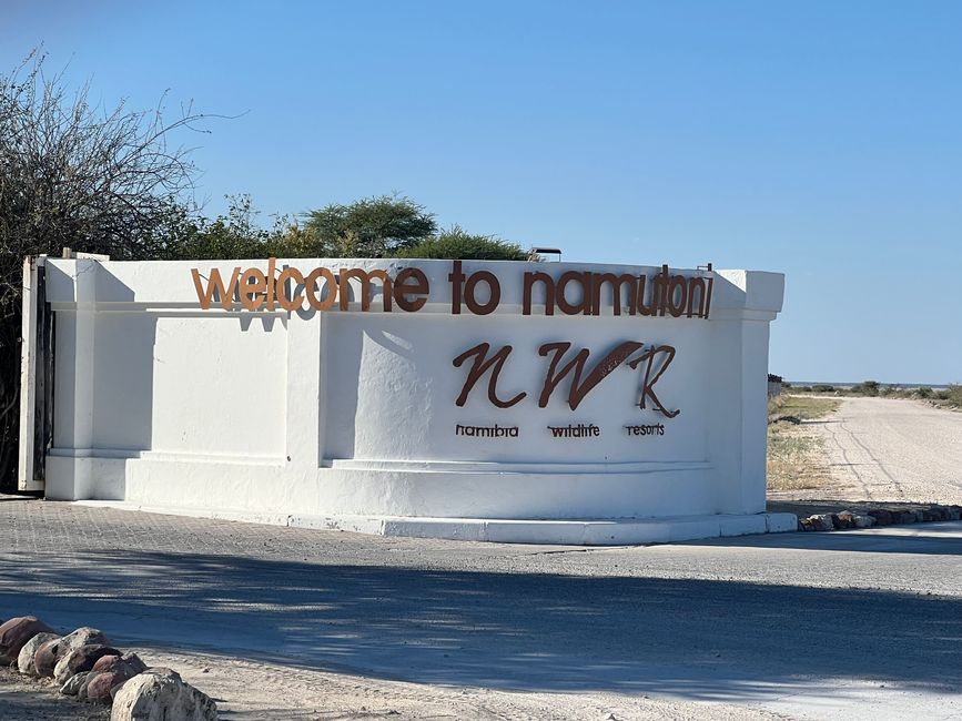 Namibia 2024: Safari Time