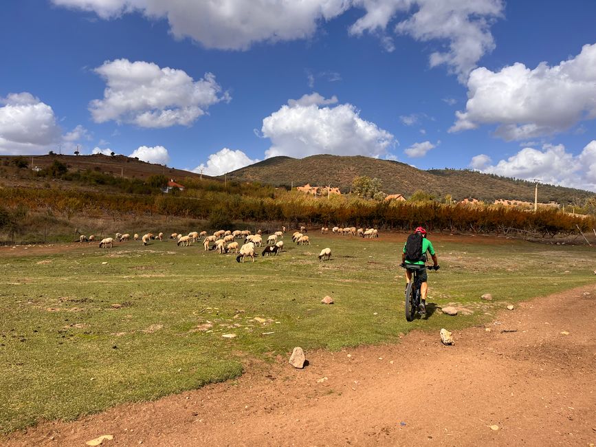 Bike tour to Ifrane, also known as 'Petit Suisse'...