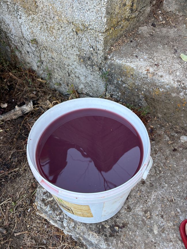 Φτιάξε κρασί (Wein machen)