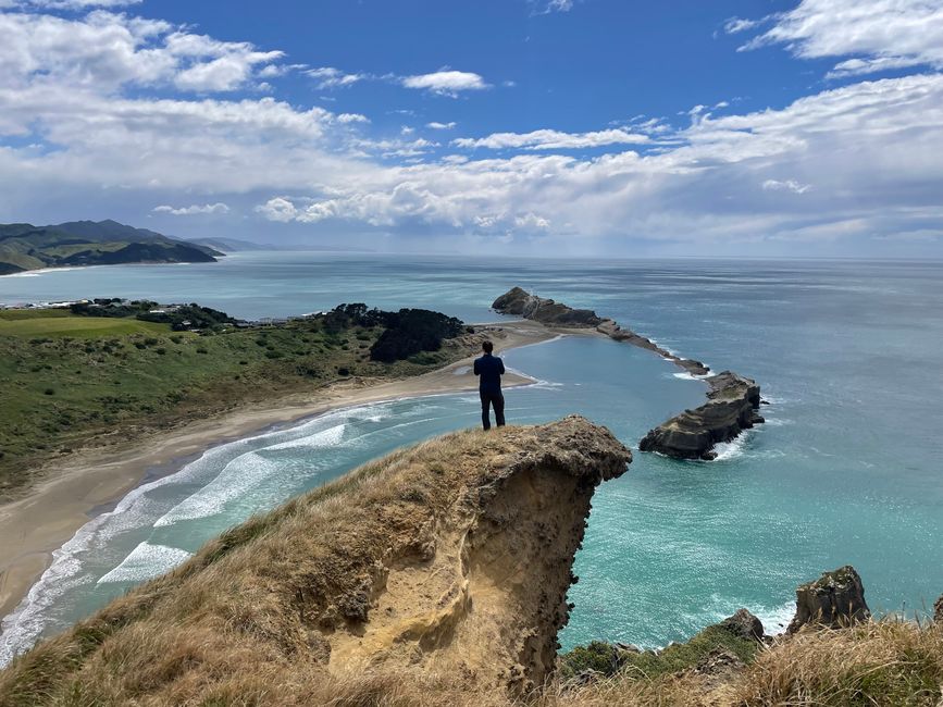 Castlepoint - Blick vom Aussichtspunkt