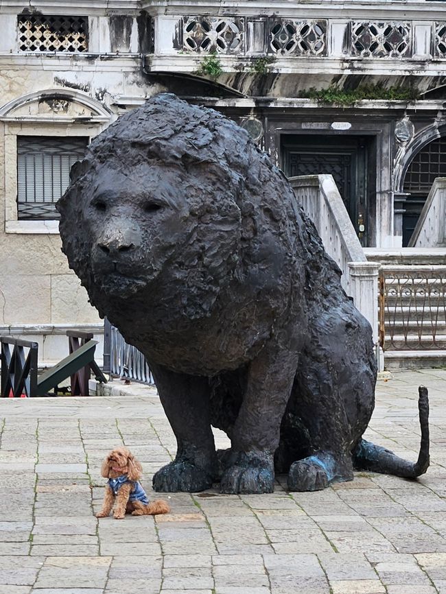 Bronzener Löwe mit Hund