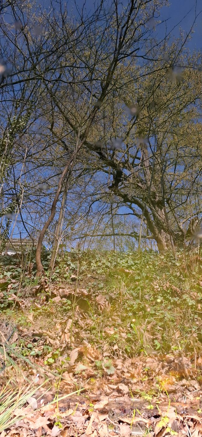 Wandern in Darmstadt 