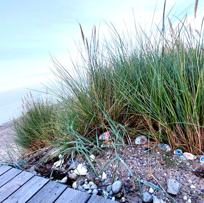 Fehmarn