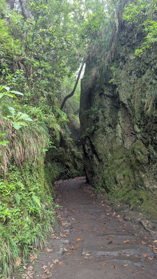 PR 11 Vereda dos Balcões