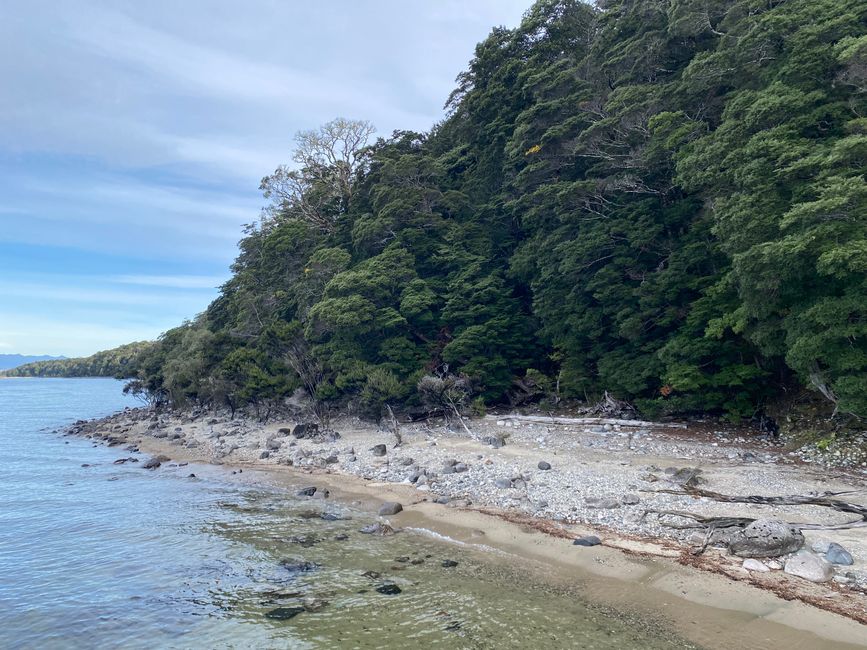 Among the glowing glowworms