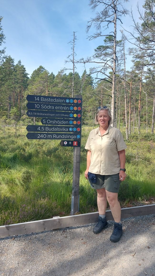 Halden – Tresticklans NP – Halden