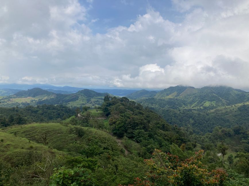 Monteverde