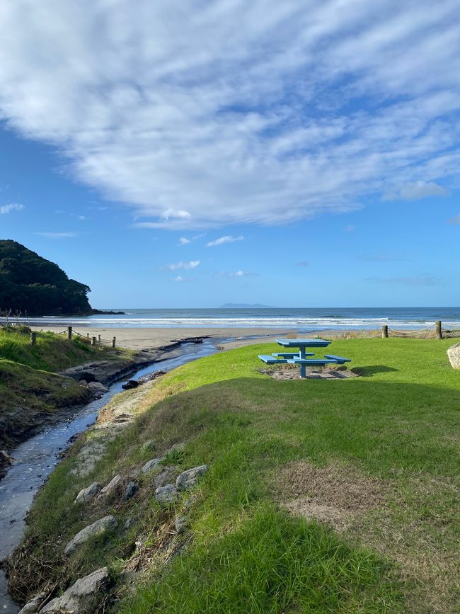 Coromandel loop