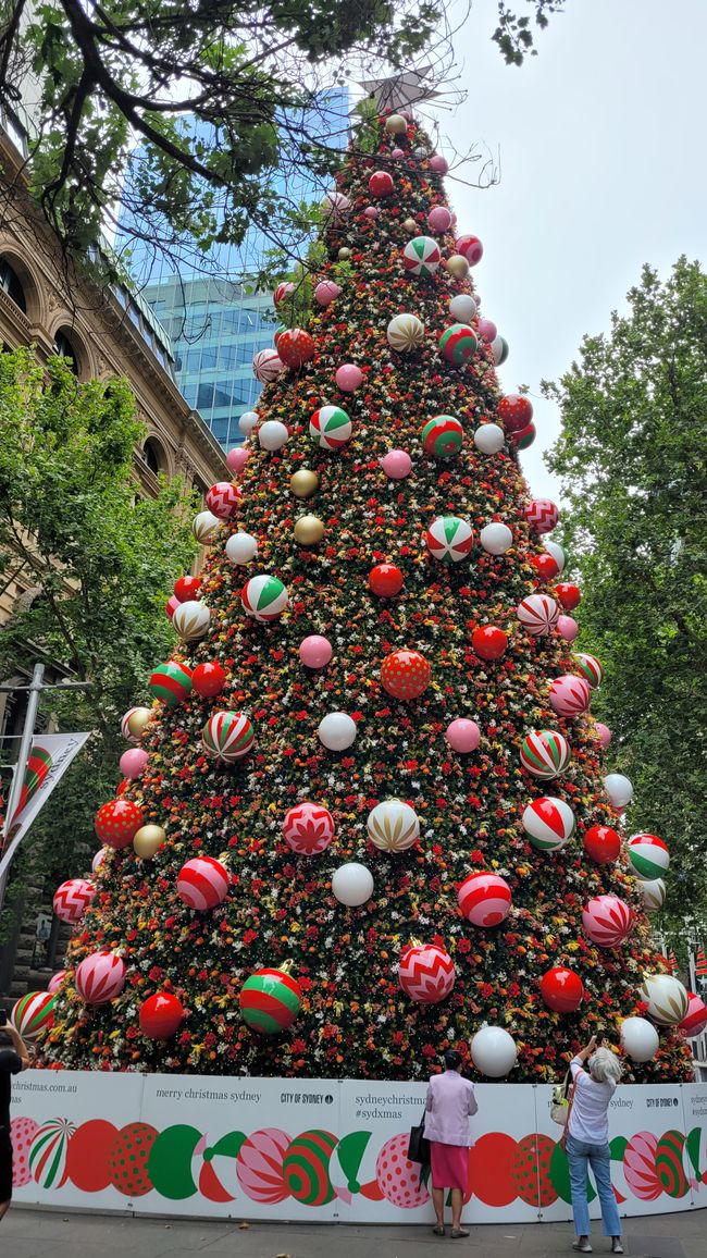 Merry Christmas (ob man will oder nicht) und mehr in Sydney