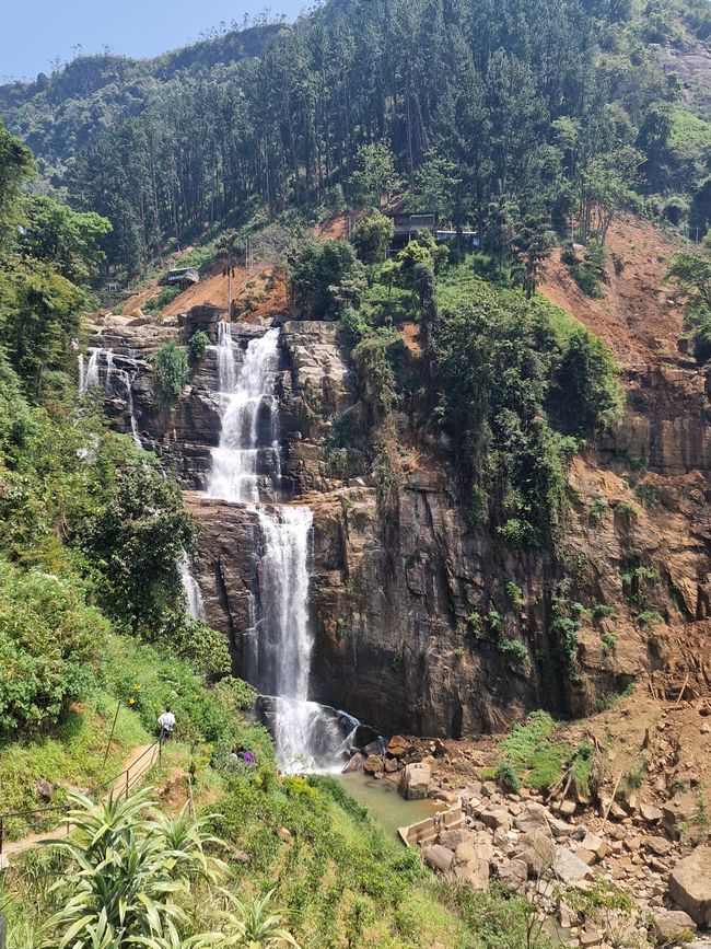 Cascada en el camino