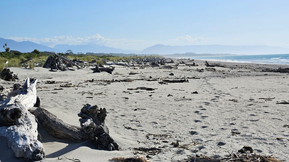 Wānaka - Haast - Gillespies Beach