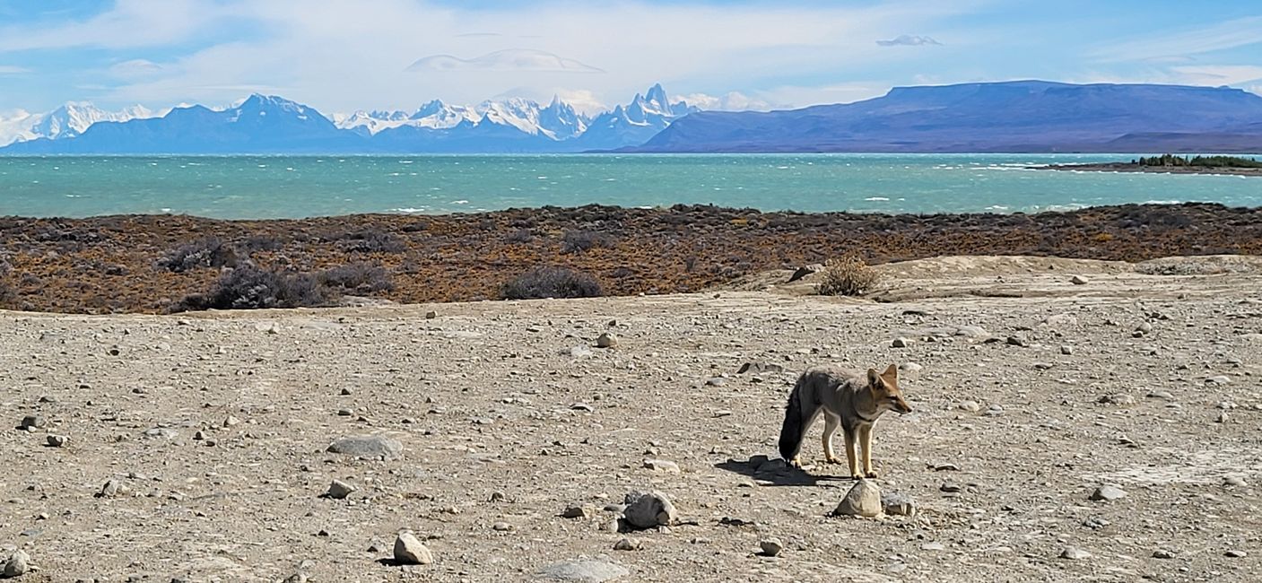 Highlight "Fitz Roy"