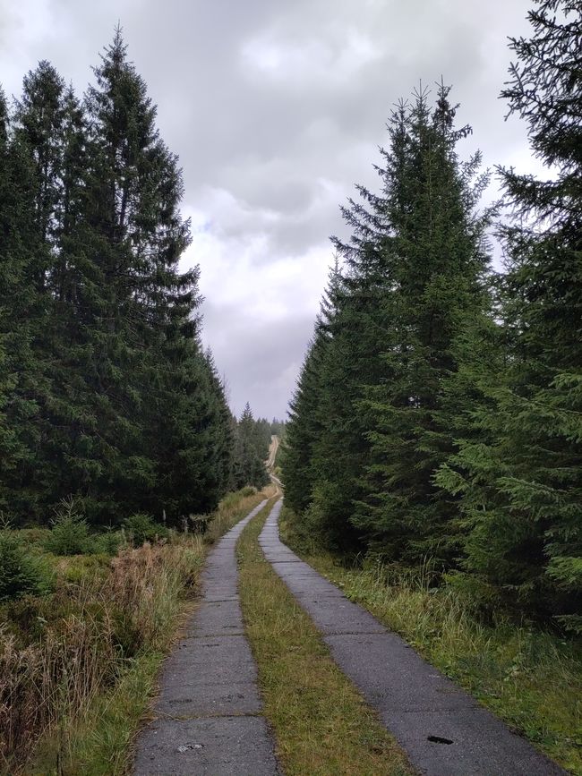 Kolonnenweg