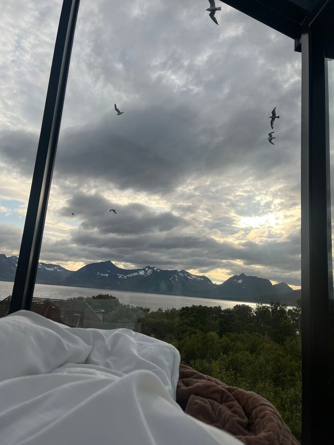 Time Out / Glamping