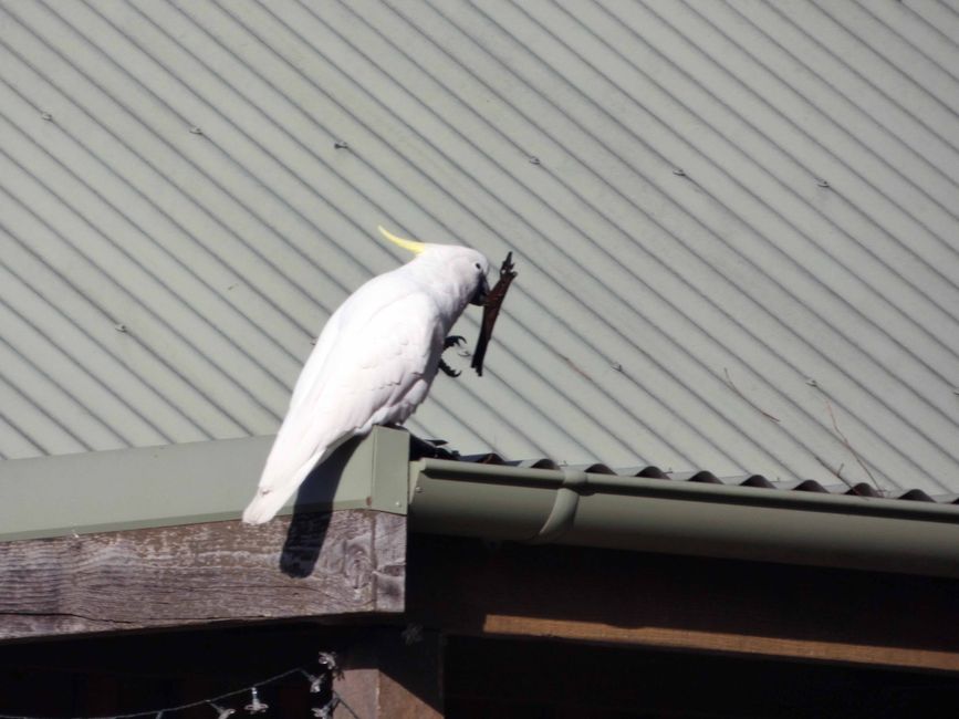 Halls Gap - Grampians-Nationalpark