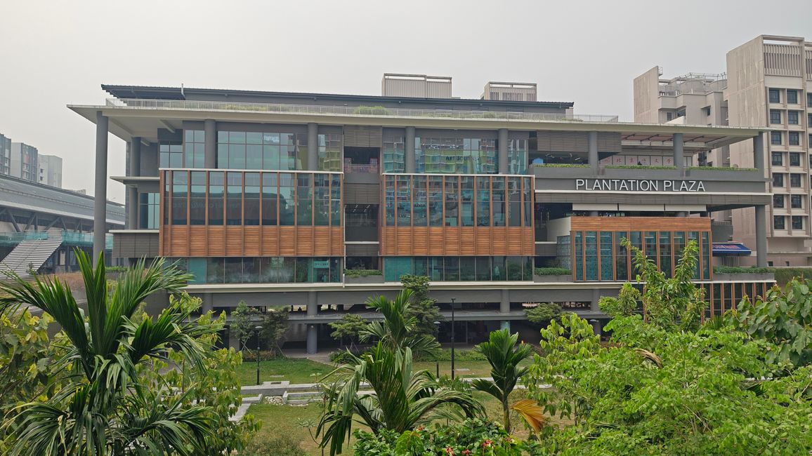 Habiter de manière naturelle et harmonieuse à Singapour