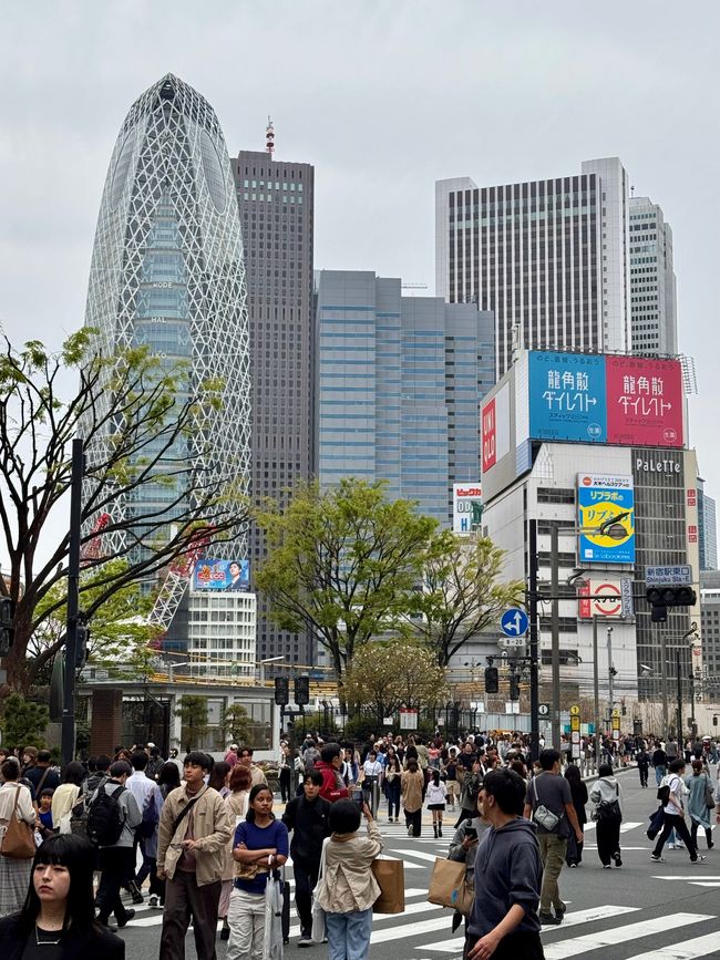 Parte 7
BENVENUTO IN GIAPPONE 🇯🇵
TOKYO