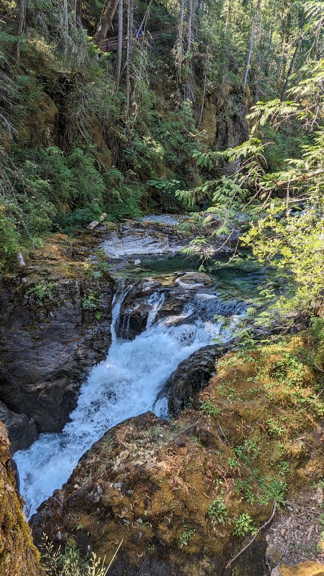 Little Qualicum Falls Provincial Park