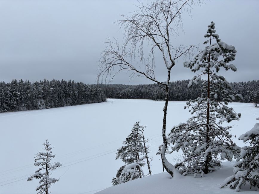 The finnish way