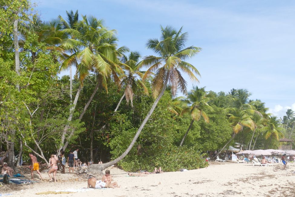 Mit der Fähre nach Martinique, unser Häuschen im Dschungel