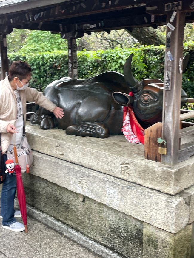 24. Chapitre : Vaches pour la sagesse et hystérie d'achat au marché Nishiki