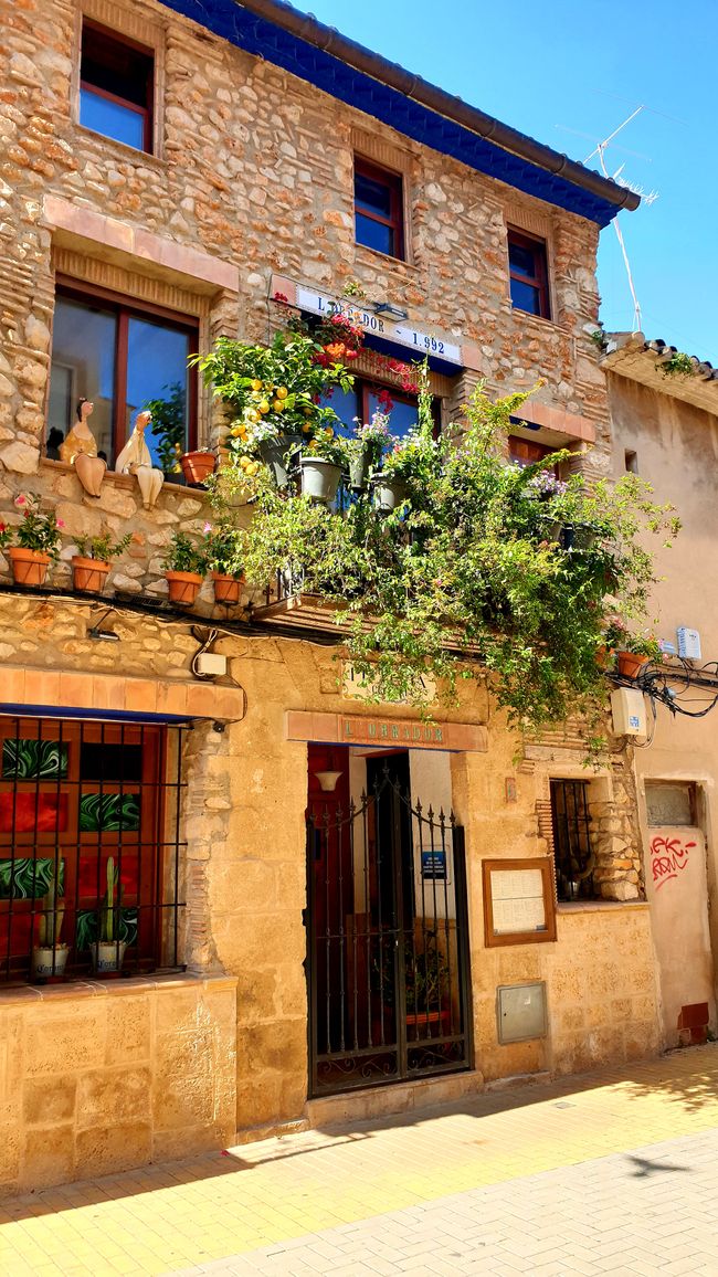 Alicante?...no grazie 609