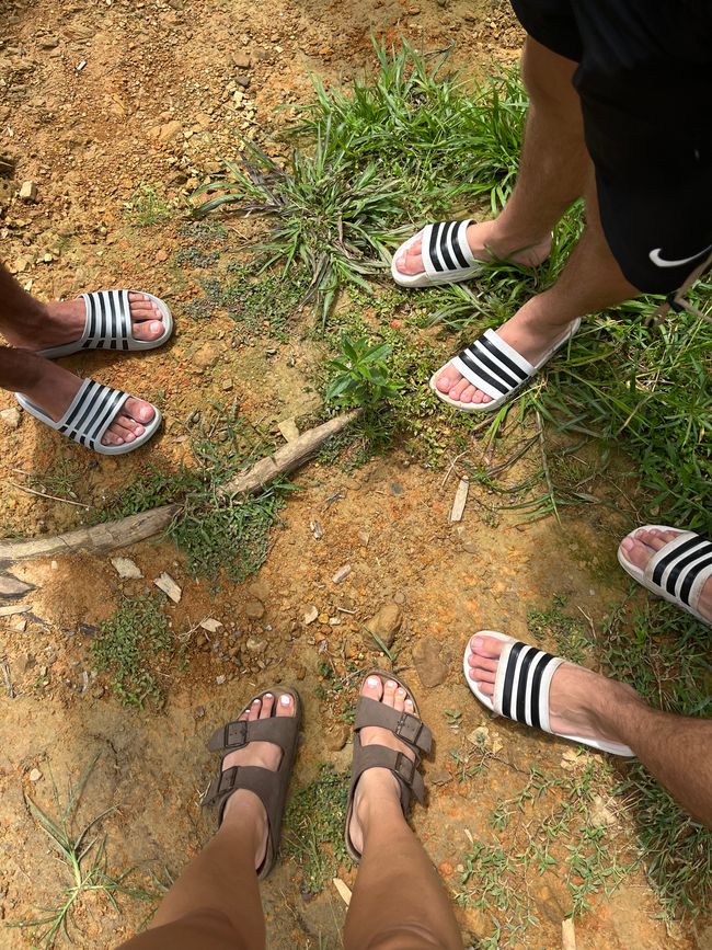 Khao Sok Nationalpark