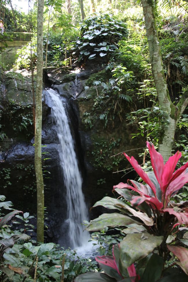 Day 11: Ubud and the Southern Tip of Bali