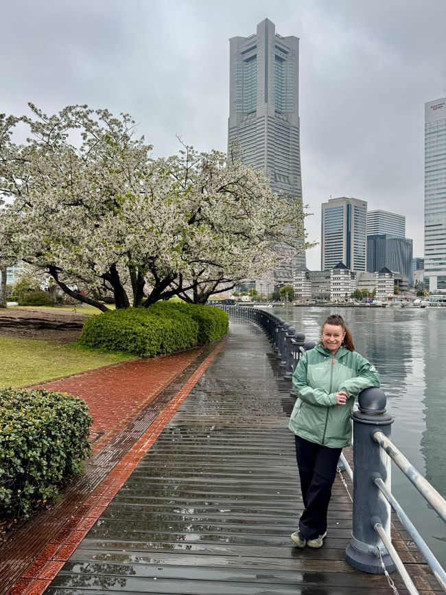 Parte 7
BENVENUTO IN GIAPPONE 🇯🇵
TOKYO