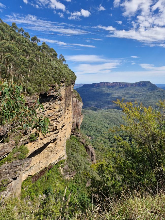 Ausblick auf das Cliff