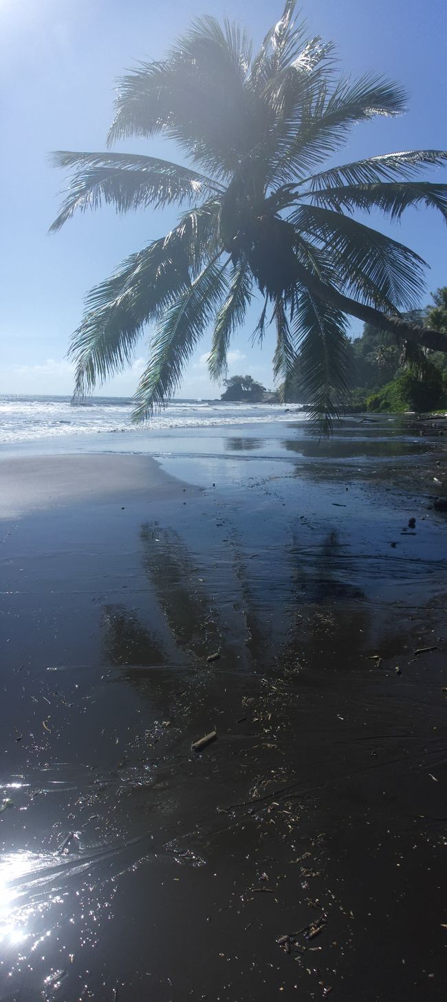 Beach Orofara