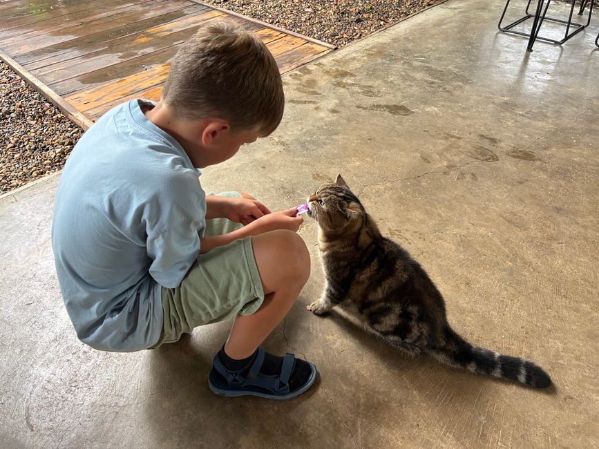 Von Chiang Mai nach Pai & <-