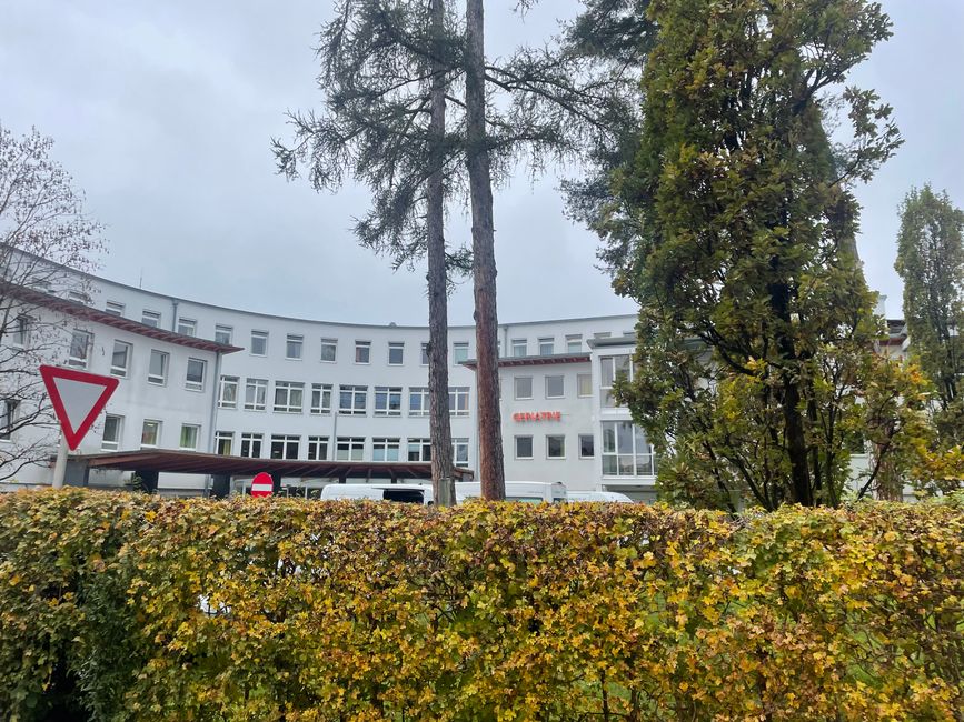 Die Träume des Mäusschens