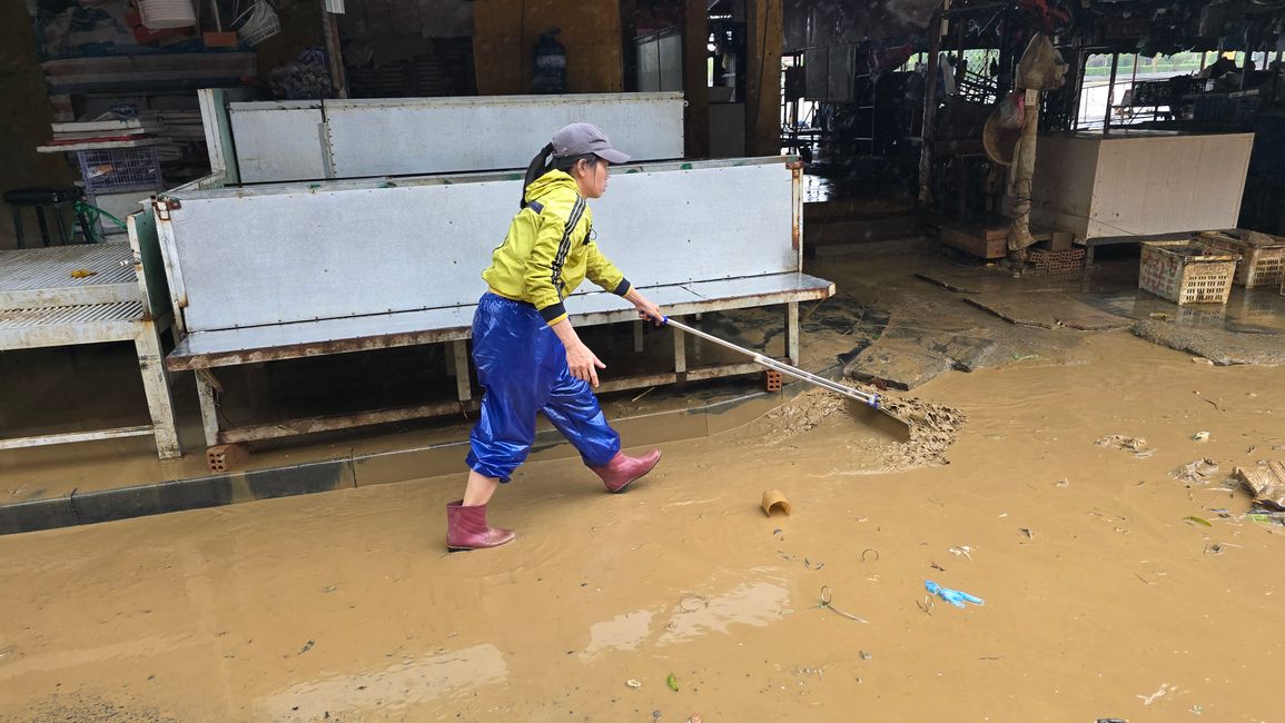 Hoi An - les travaux de nettoyage ont commencé