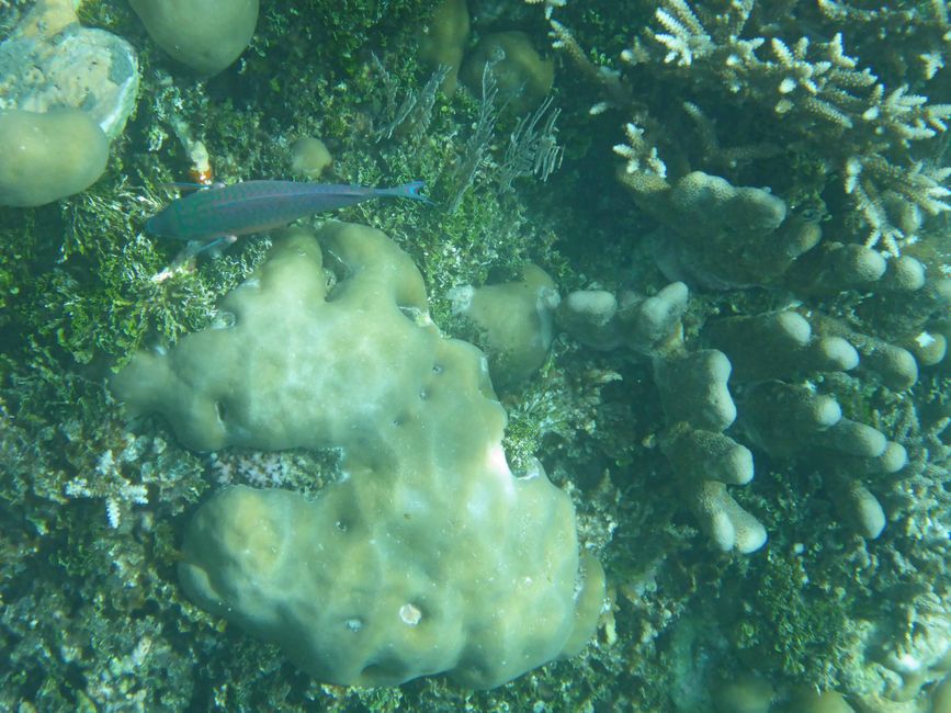 Waiag, Raja Ampat, Indonesia