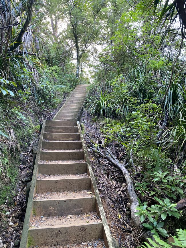 De whangarei à auckland