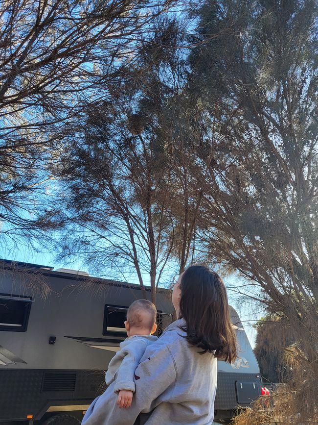 Kangaroo Island with Baby M.