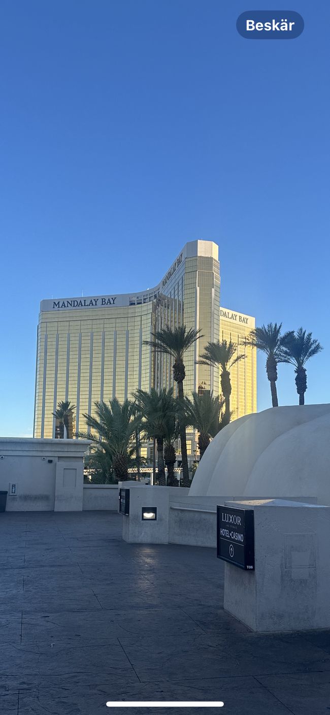 Viva Las Vegas