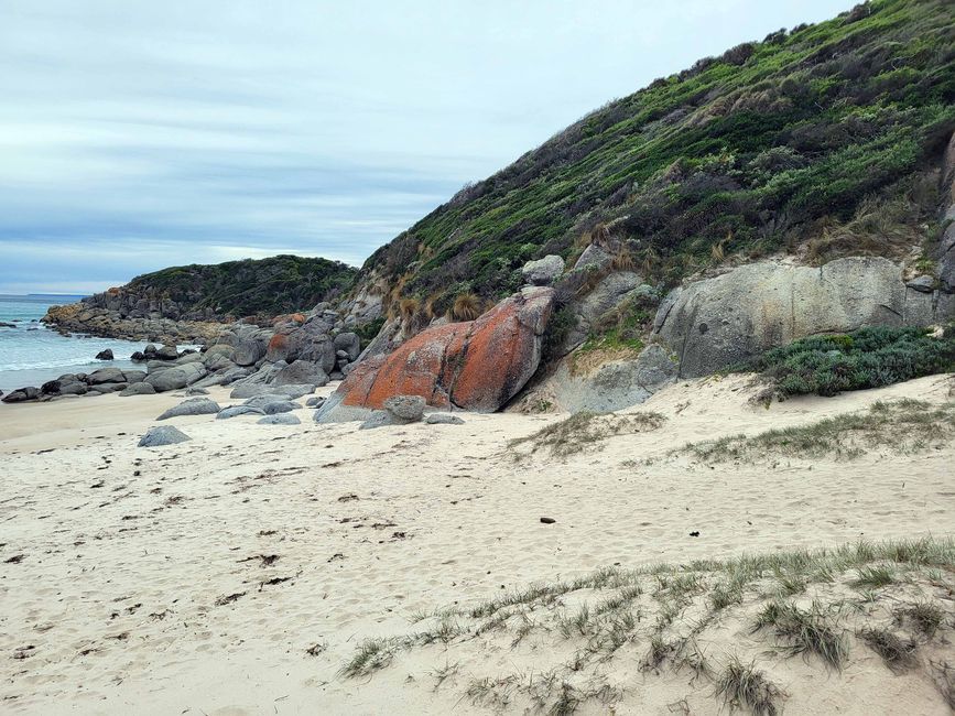 Melbourne - Wilsons-Promontory-Nationalpark