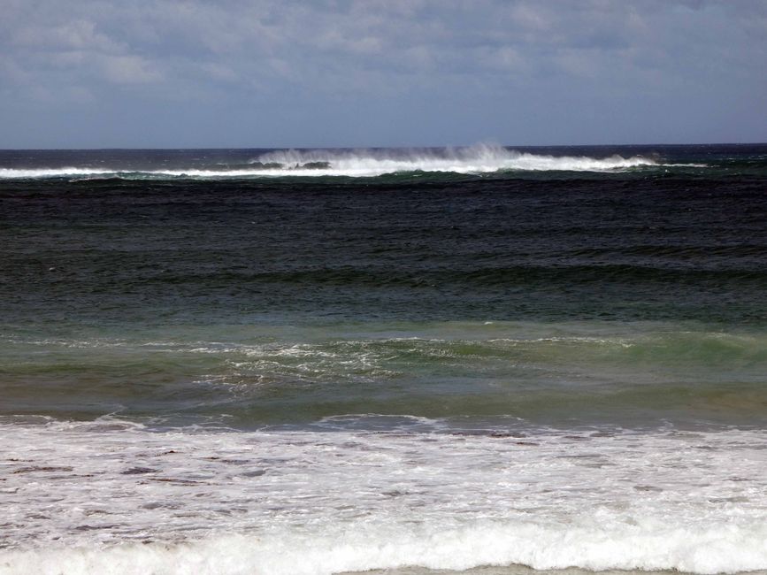 Kangaroo Island