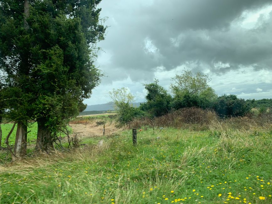 12_THUNDER CREEK FALL IN KUMARA