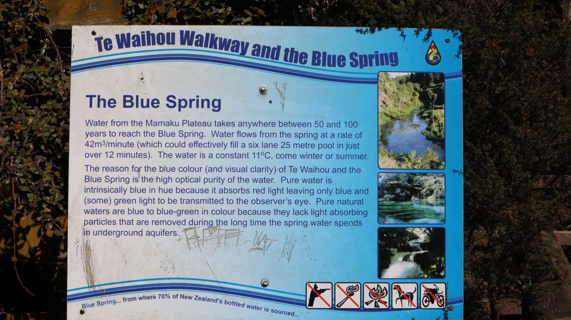 Putaruru Blue Spings Park