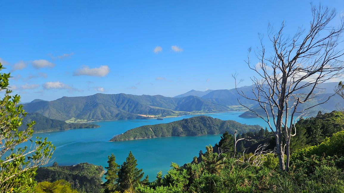 Picton - Queen Charlotte Track